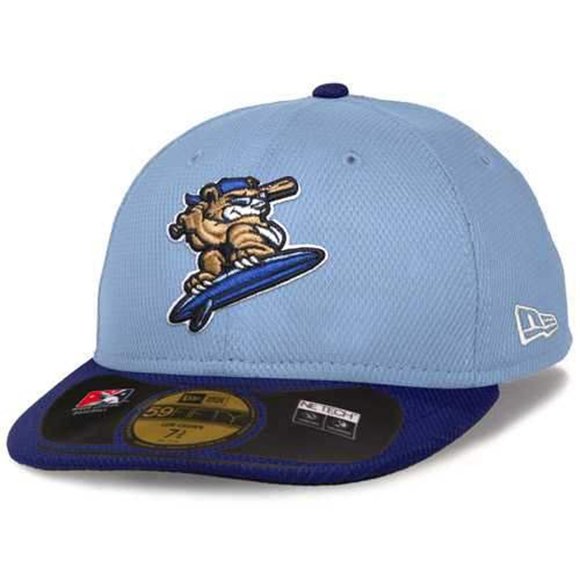 Era Surfing Bear Low Crown Fitted Hat 